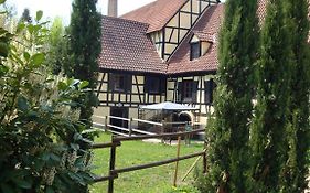 Domaine Du Moulin Im Elsass